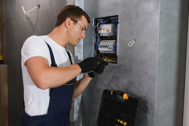 Best Electric Panel Repair  in Cross Plains, TX